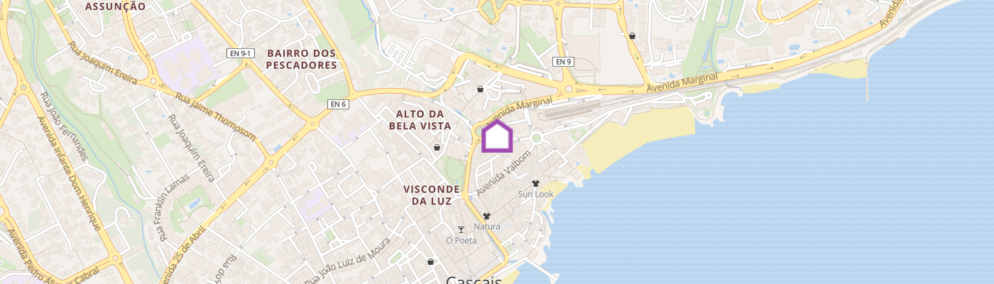 listing-map-picture