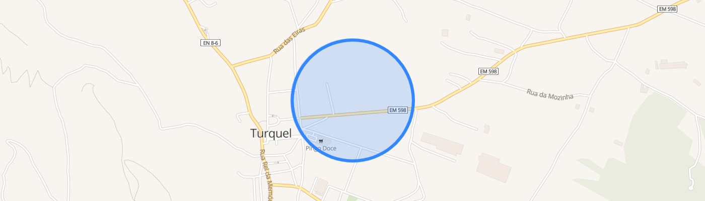 listing-map-picture