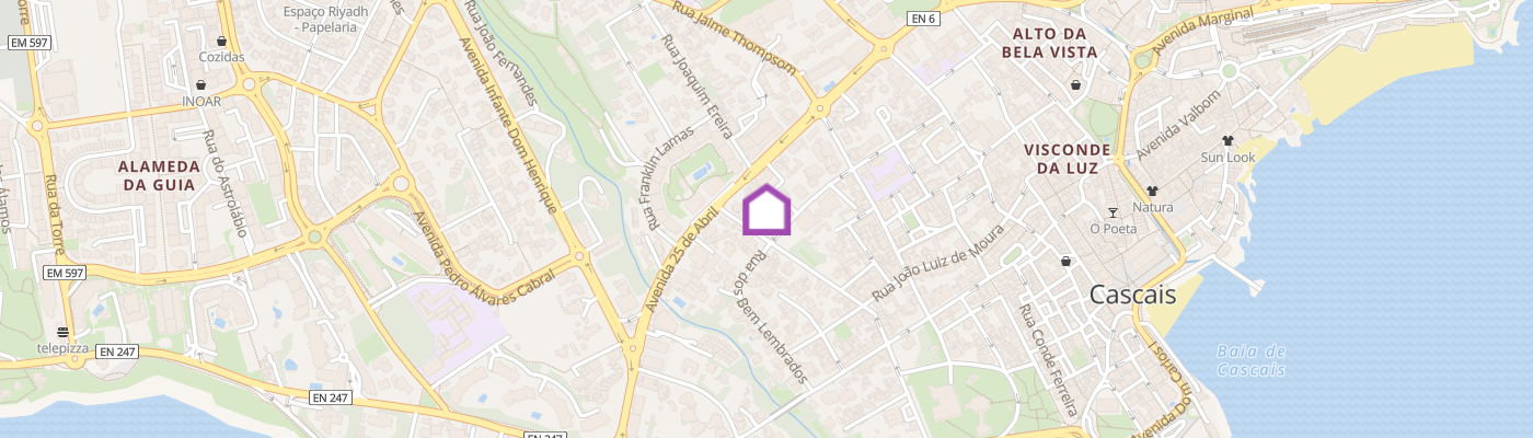 listing-map-picture