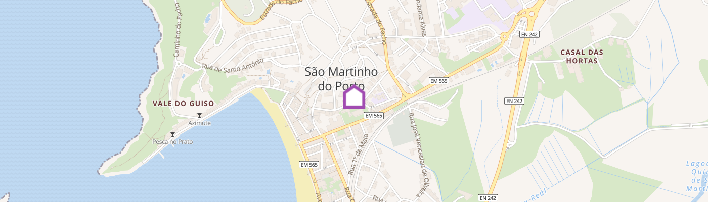 listing-map-picture