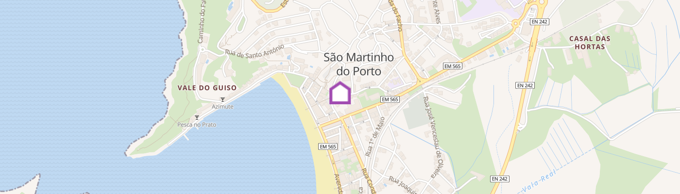 listing-map-picture