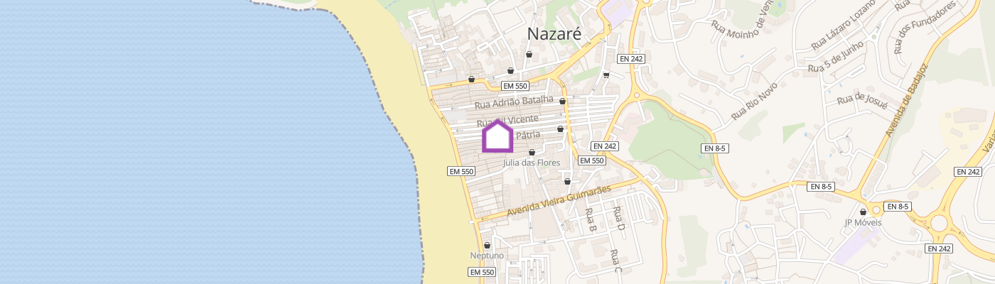 listing-map-picture