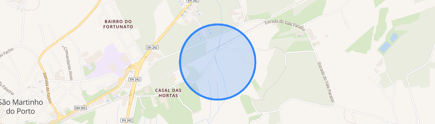 listing-map-picture