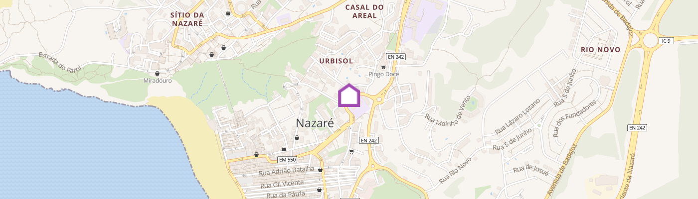listing-map-picture
