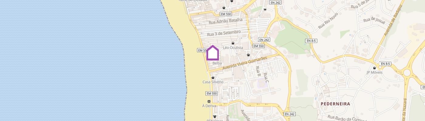 listing-map-picture