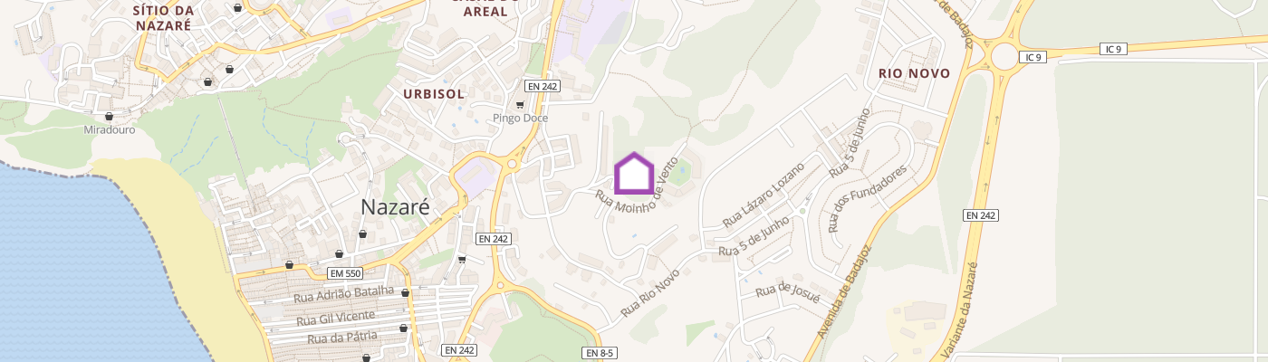 listing-map-picture