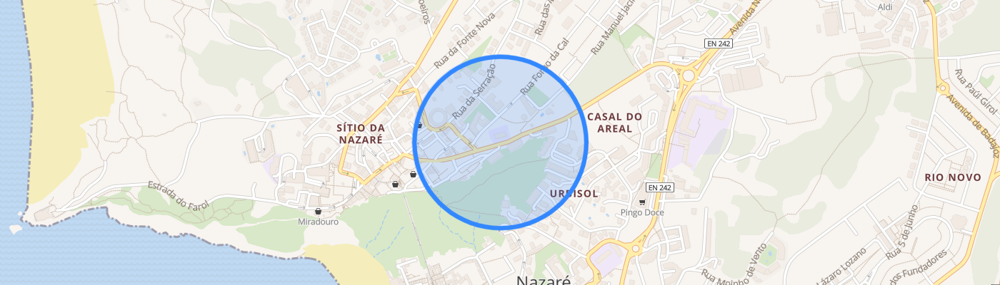 listing-map-picture