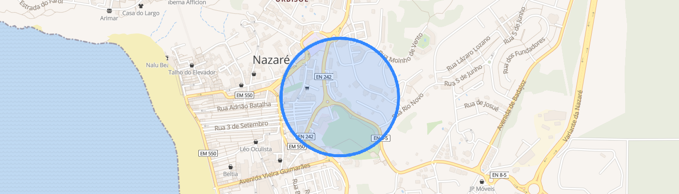 listing-map-picture
