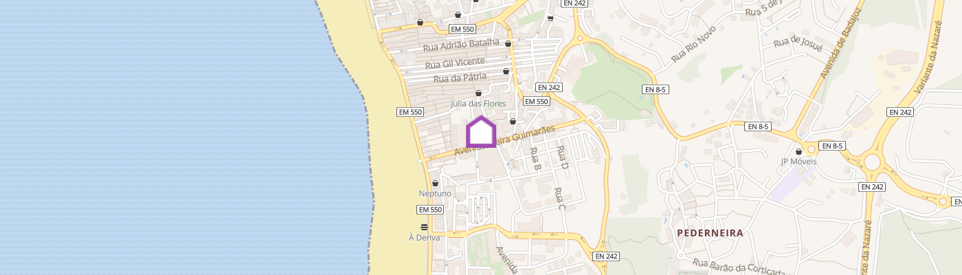 listing-map-picture