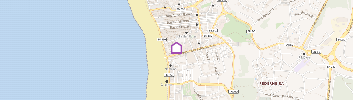 listing-map-picture