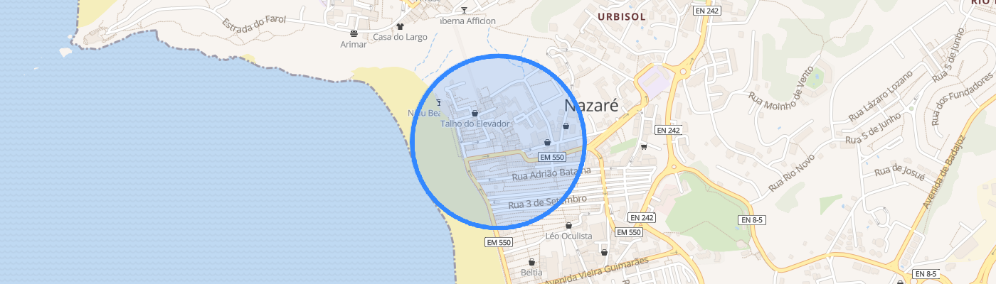 listing-map-picture