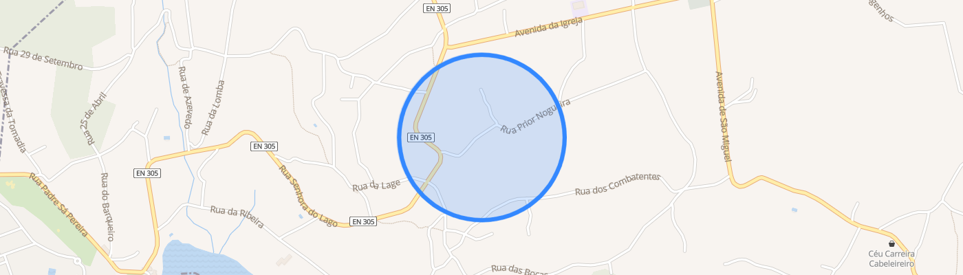 listing-map-picture
