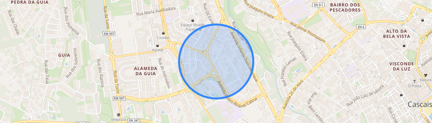 listing-map-picture
