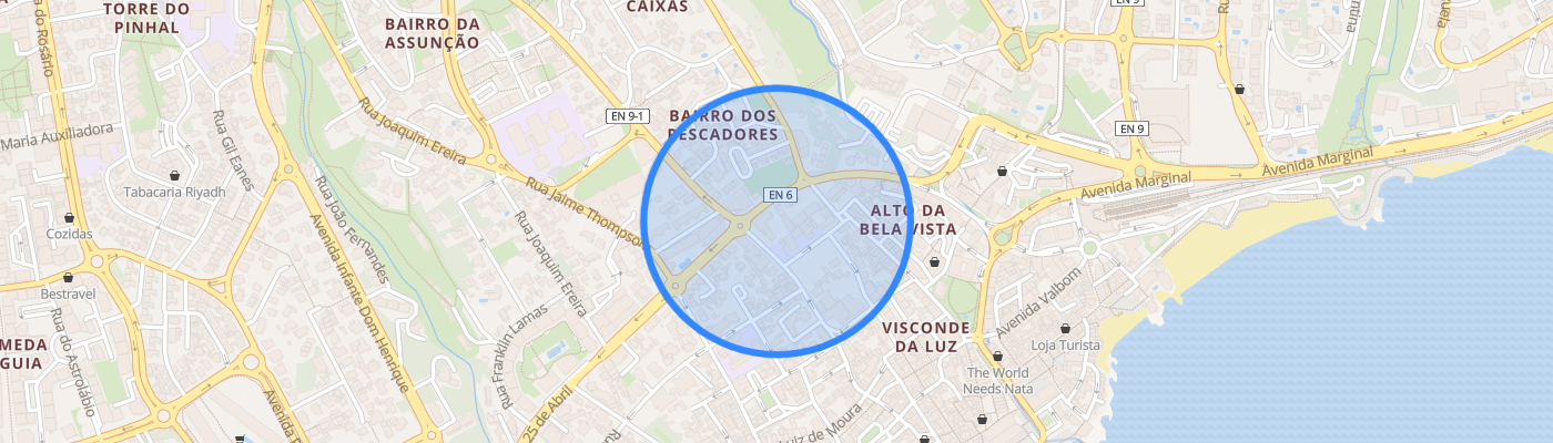 listing-map-picture