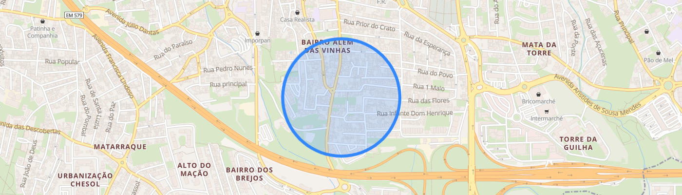 listing-map-picture