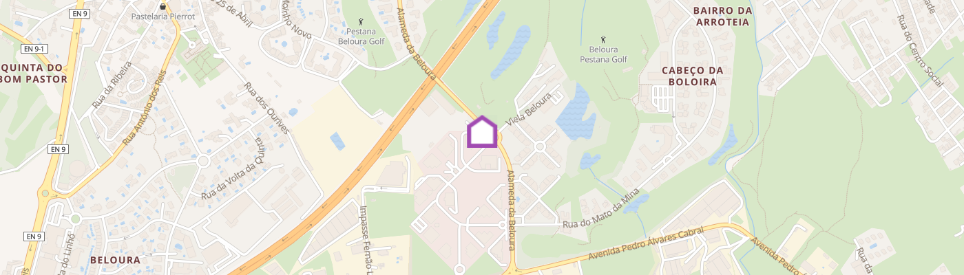 listing-map-picture
