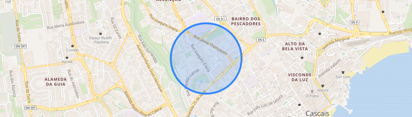 listing-map-picture