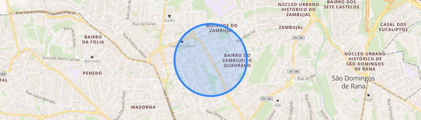 listing-map-picture