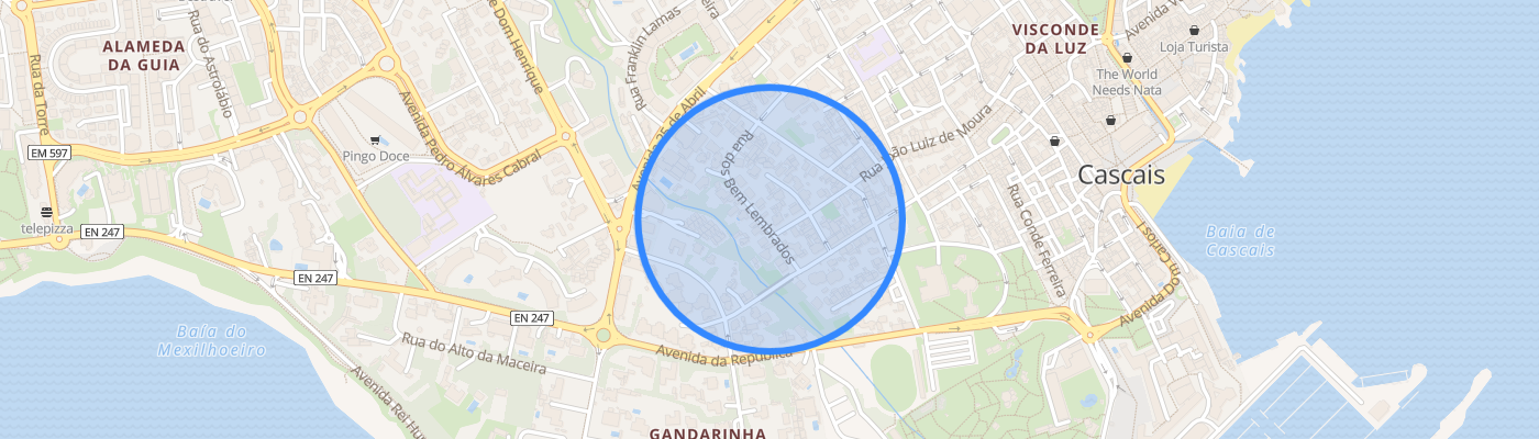 listing-map-picture