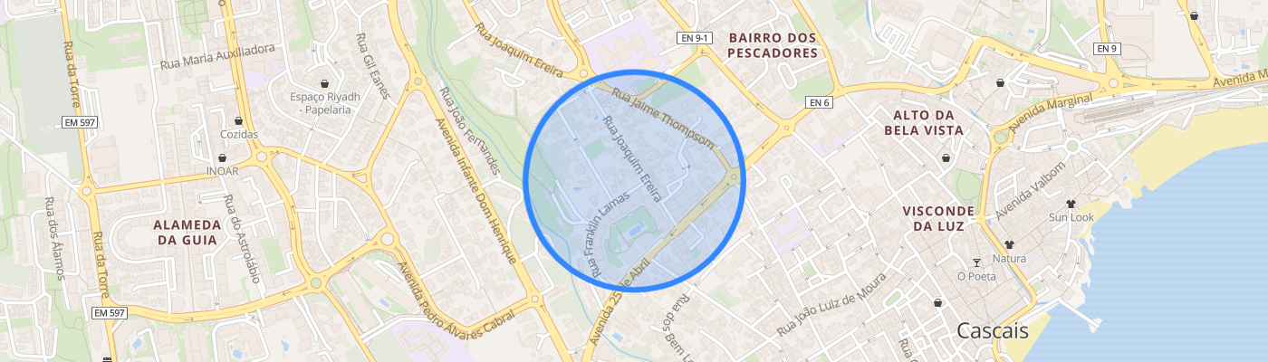 listing-map-picture