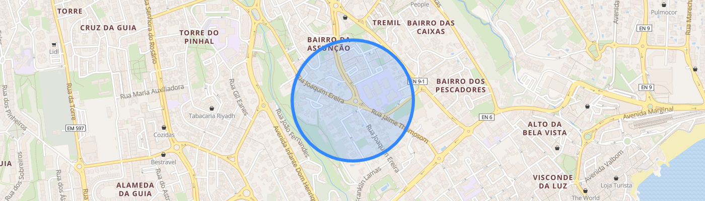 listing-map-picture