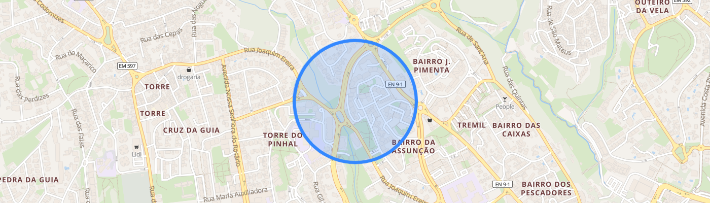 listing-map-picture