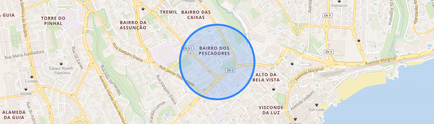 listing-map-picture