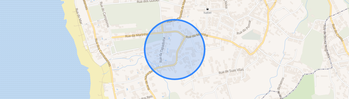 listing-map-picture