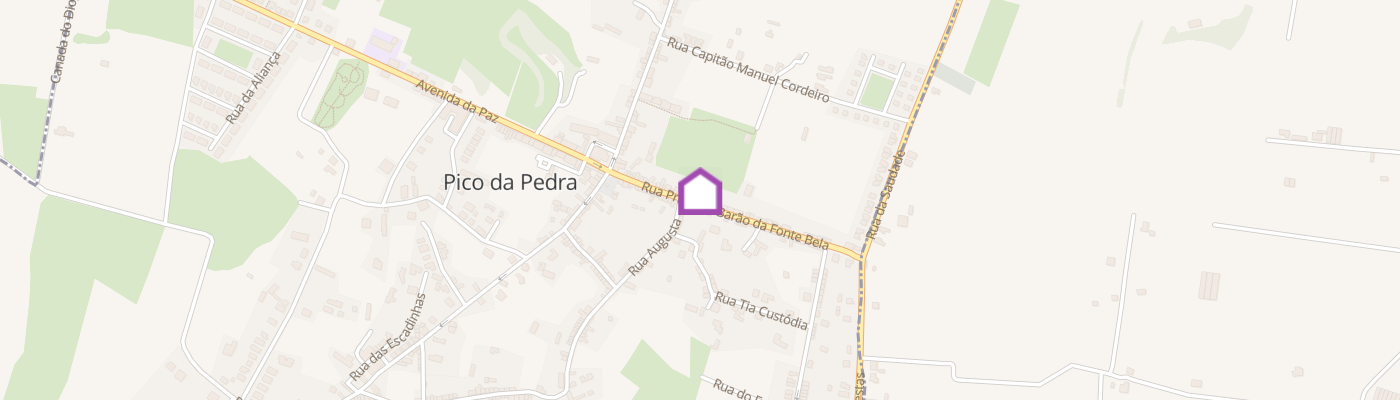 listing-map-picture