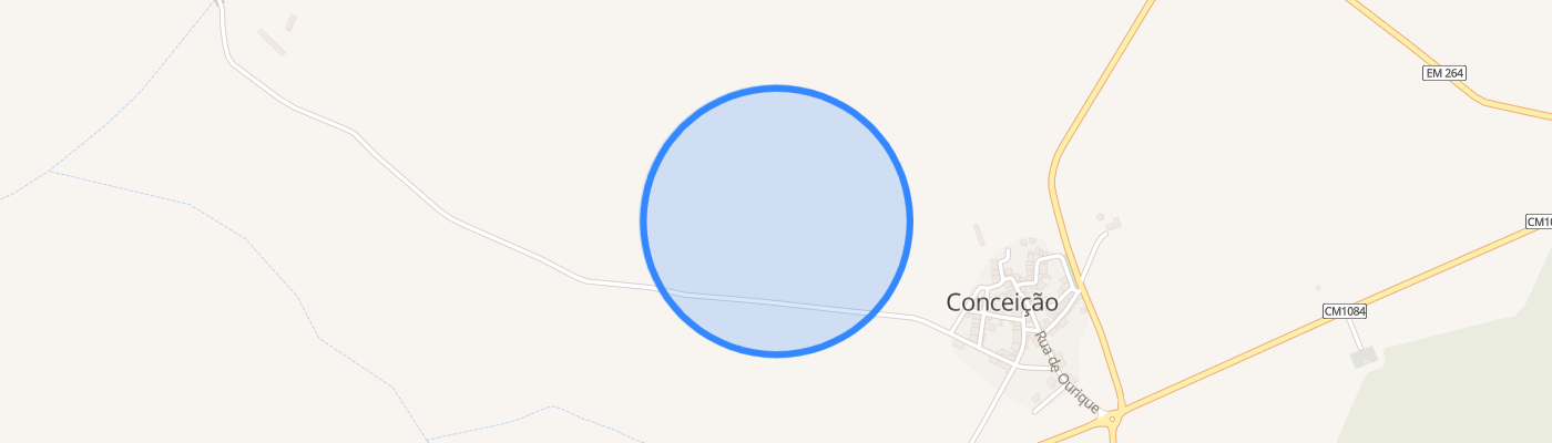 listing-map-picture