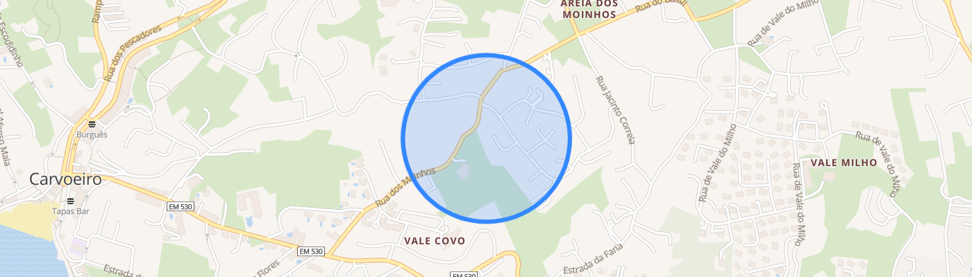 listing-map-picture