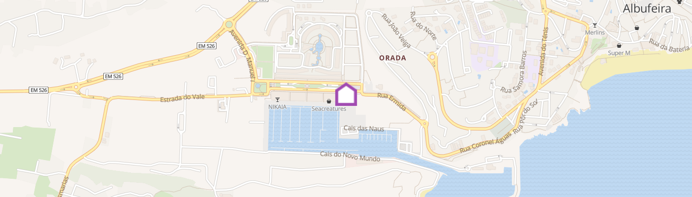 listing-map-picture