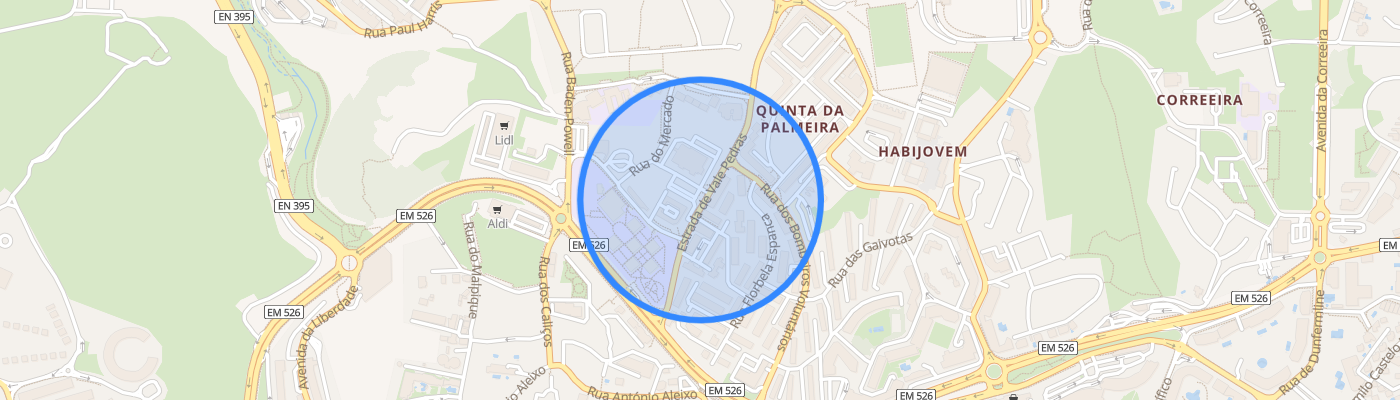 listing-map-picture
