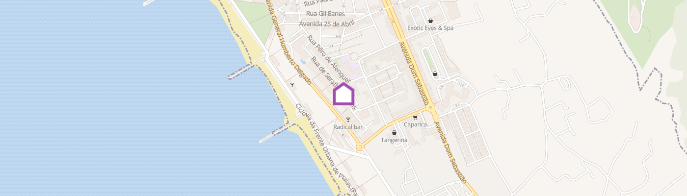 listing-map-picture