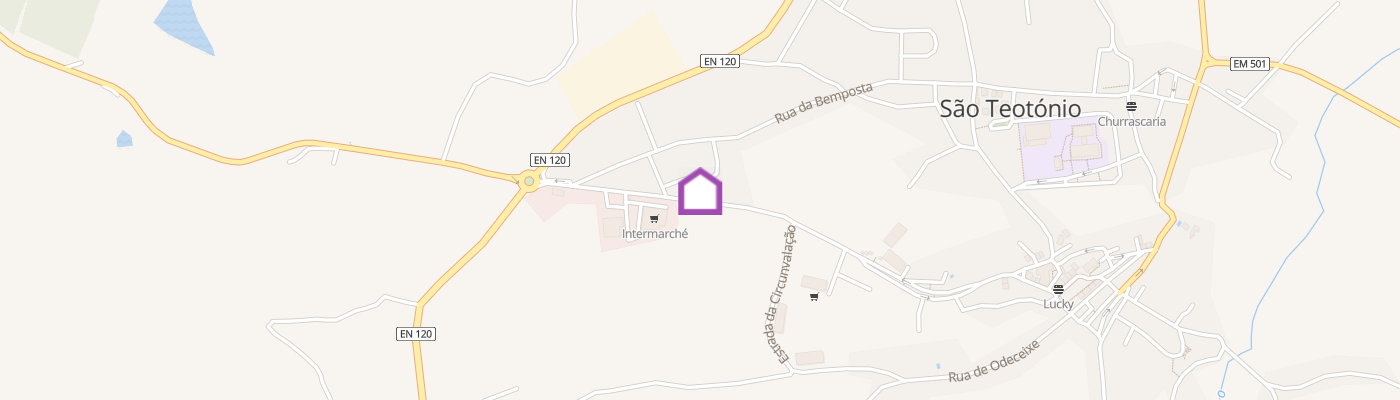 listing-map-picture