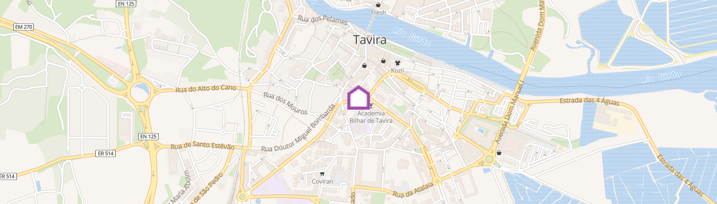 listing-map-picture