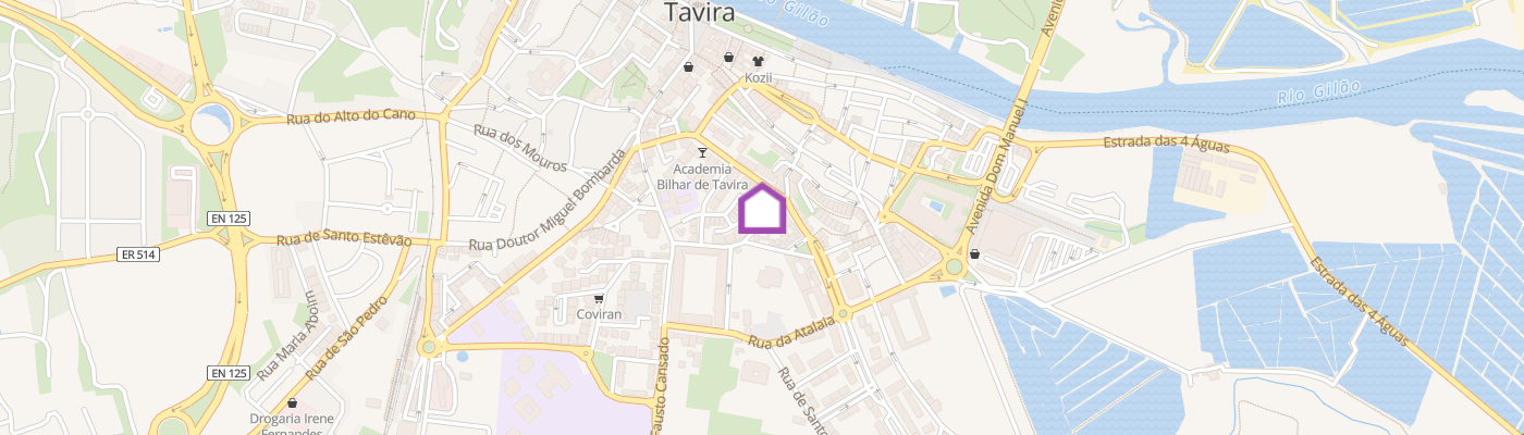 listing-map-picture