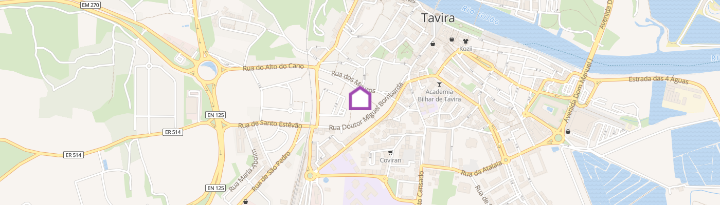 listing-map-picture