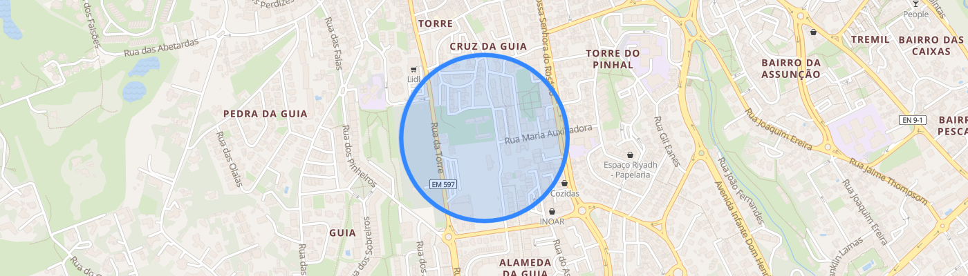 listing-map-picture