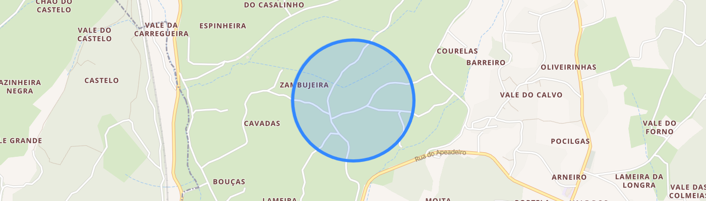 listing-map-picture