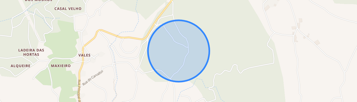 listing-map-picture