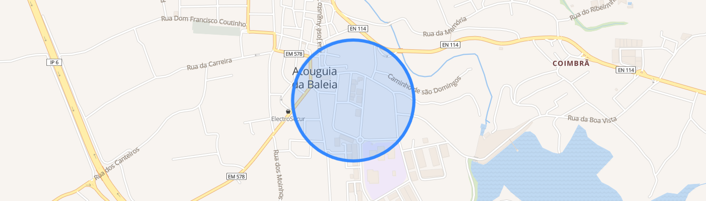 listing-map-picture