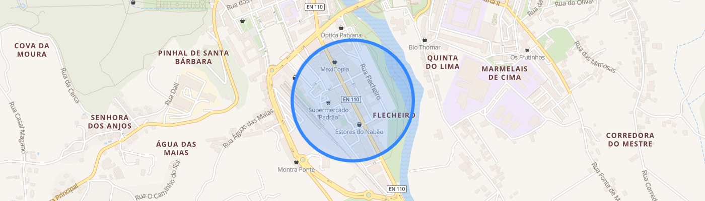 listing-map-picture