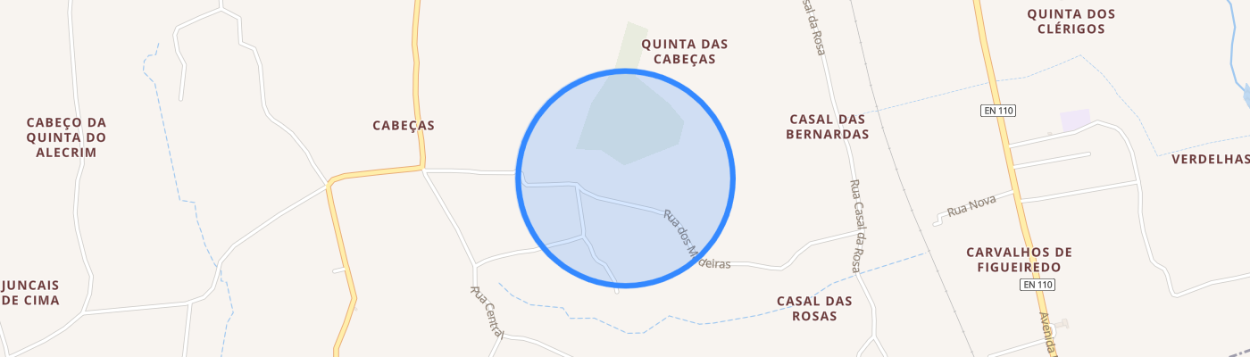 listing-map-picture