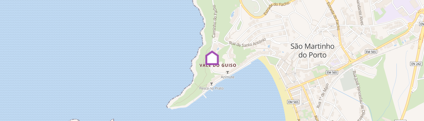 listing-map-picture