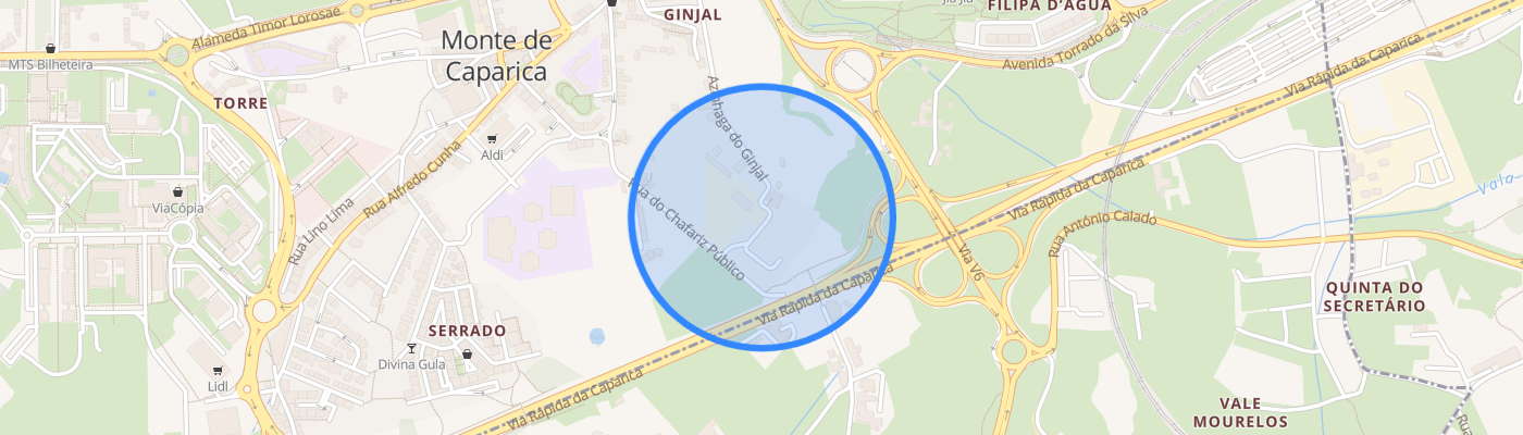 listing-map-picture