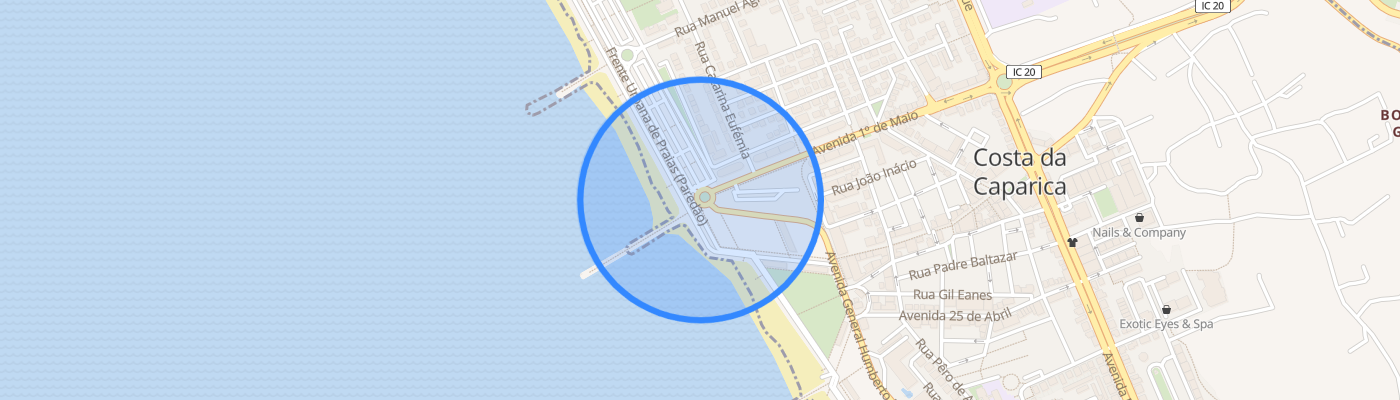 listing-map-picture