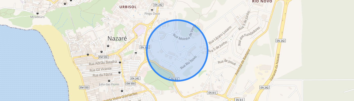 listing-map-picture