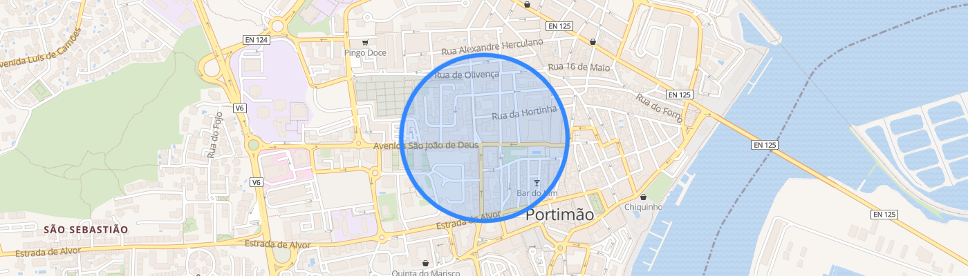 listing-map-picture