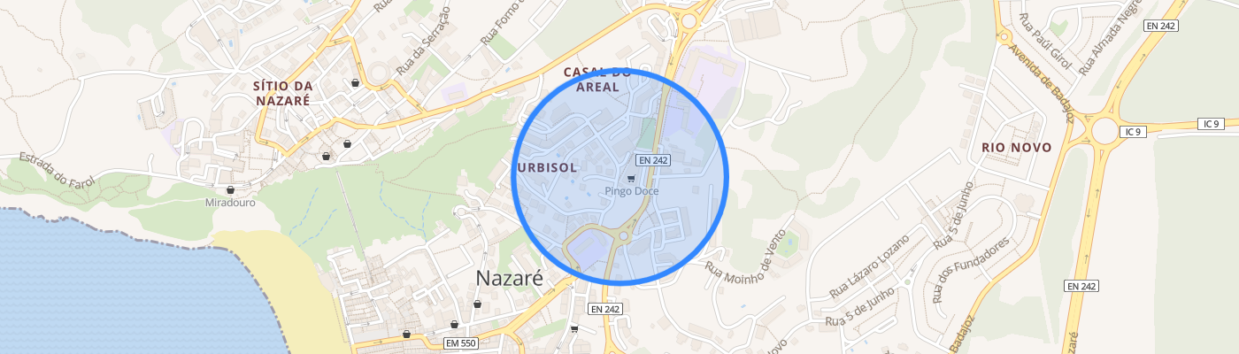 listing-map-picture